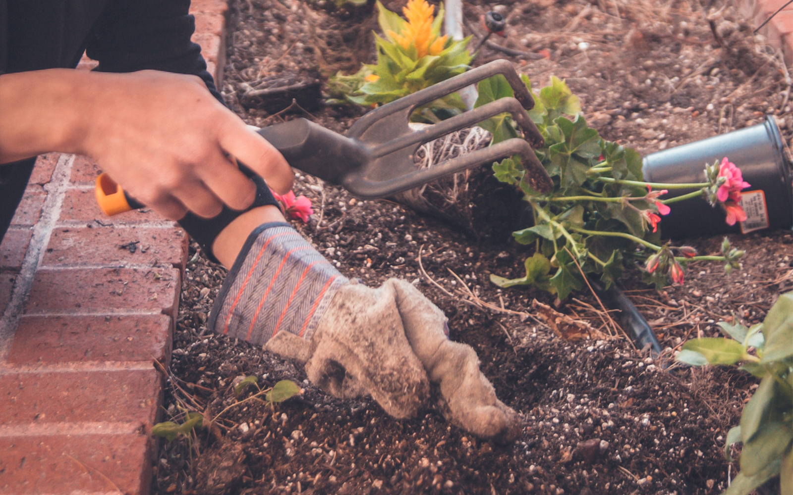 Trabajador de jardinería en <strong>Villanueva de la Cañada</strong>